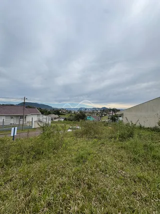 Vista externa de um terreno com vegetação alta e grama não cuidada.