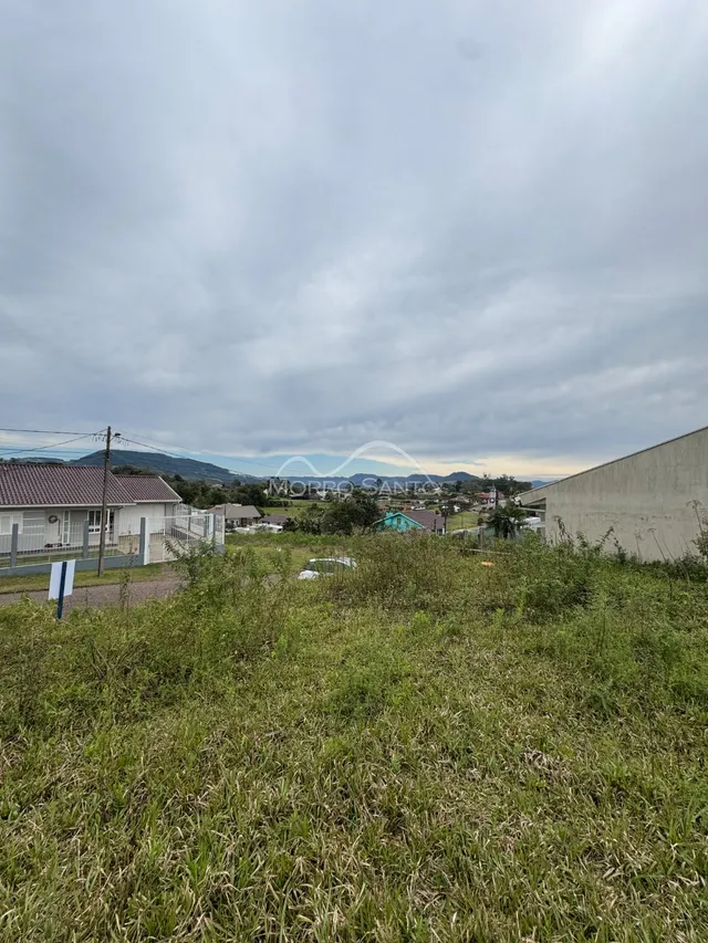 Vista externa de um terreno com vegetação alta e grama não cuidada.
