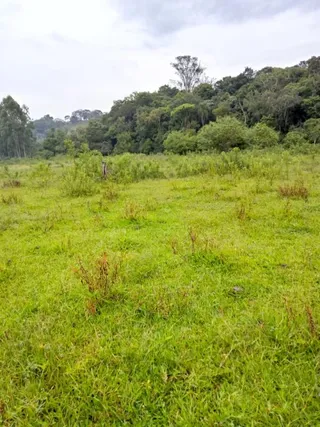 Área rural, foto 4