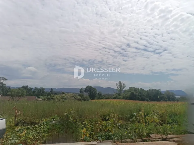 Paisagem de campo com vegetação densa e colinas ao fundo.
