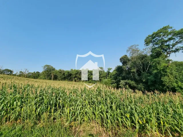 Área rural, foto 5