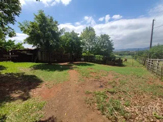 Vista externa de um terreno com grama e árvores.