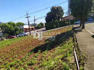 Terreno, foto 4