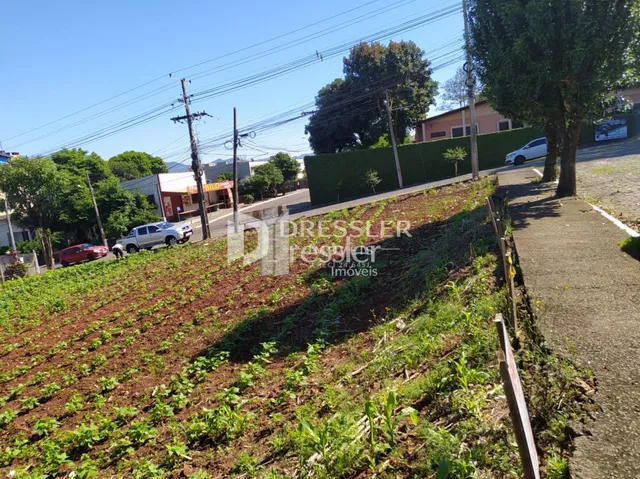 Terreno, foto 4