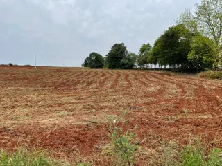 Terreno, foto 1