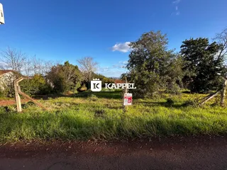 Paisagem de campo com grama alta e árvores sob um céu azul.