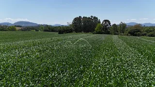 Área rural, foto 1