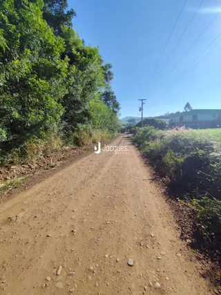 Vista de uma estrada de terra cercada por vegetação densa.