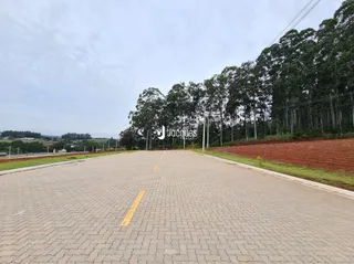 Terreno, foto 3