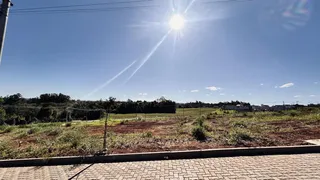 Terreno, foto 5