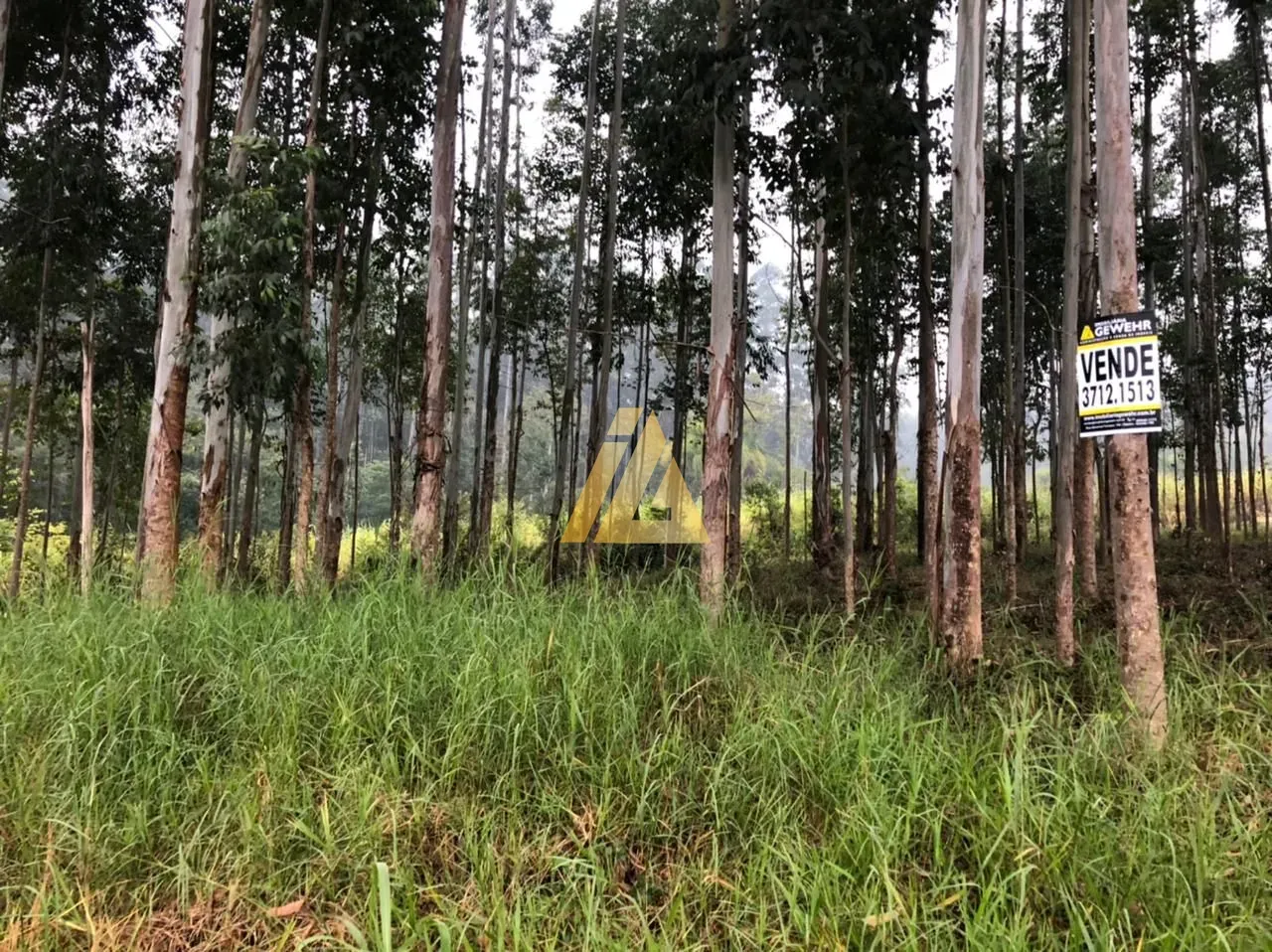 Área rural, foto 1