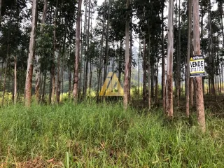Área rural, foto 1