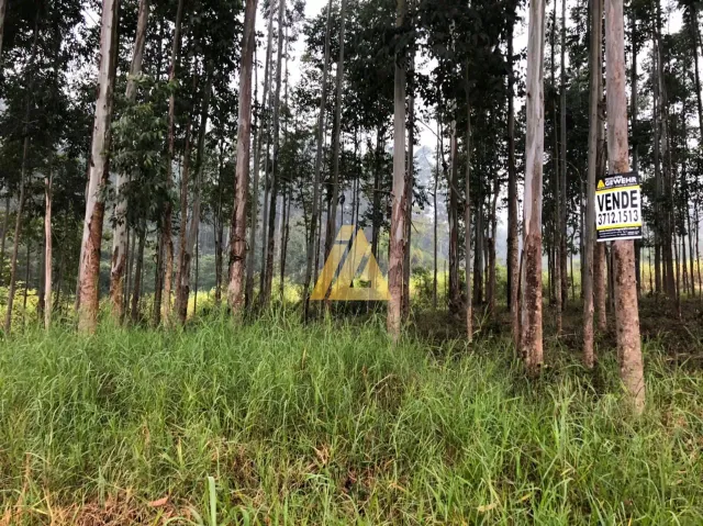 Área rural