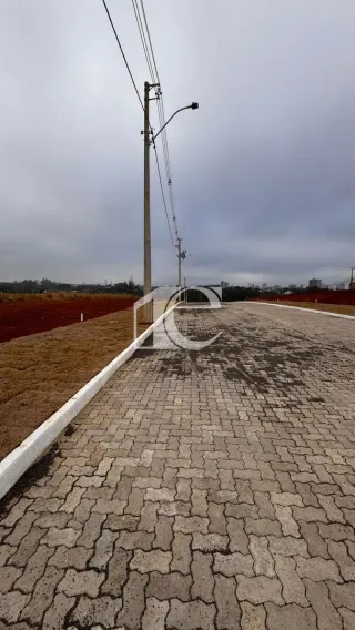 Terreno, foto 13