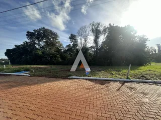 Terreno, foto 5