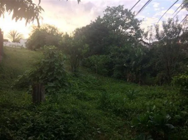 Terreno, foto 3