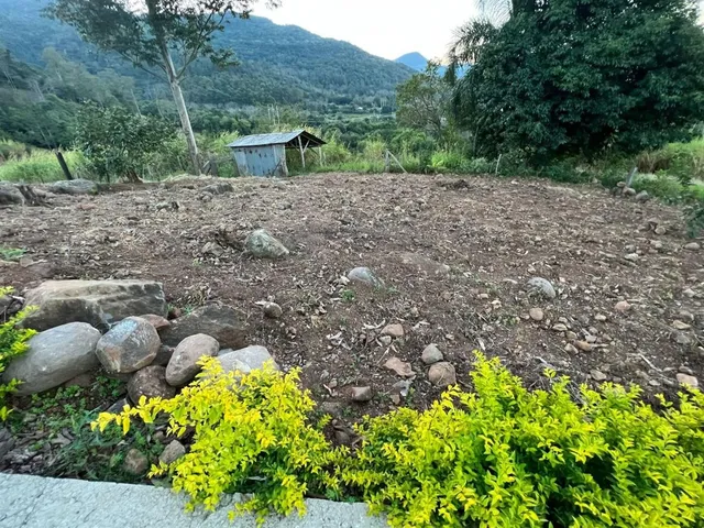 Área rural com 3 dormitórios, foto 3