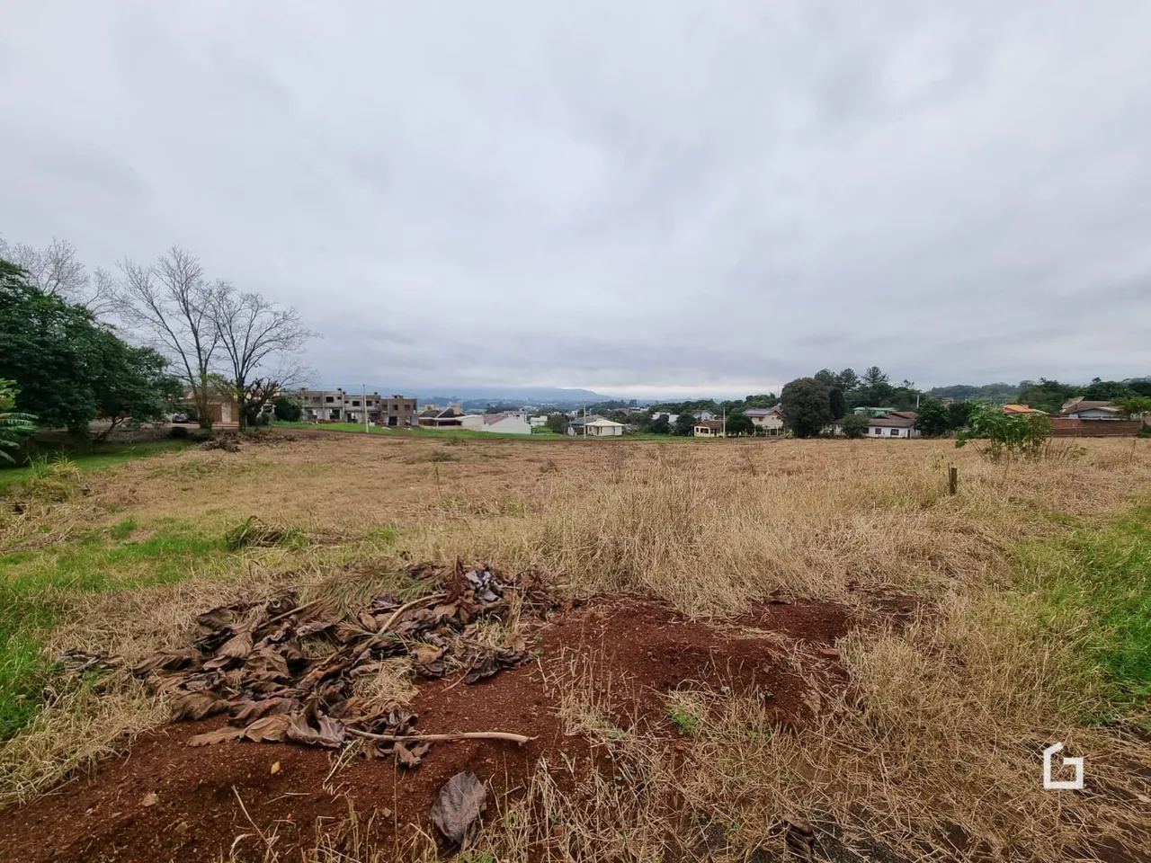 Campo de vegetação seca com terra no primeiro plano.