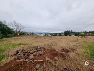Campo de vegetação seca com terra no primeiro plano.