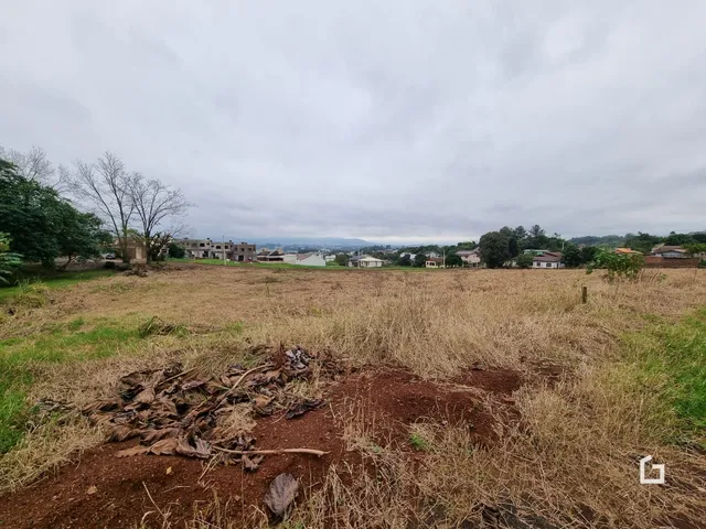 Campo de vegetação seca com terra no primeiro plano.