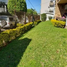 Vista de um gramado verde com arbustos ao longo da lateral.