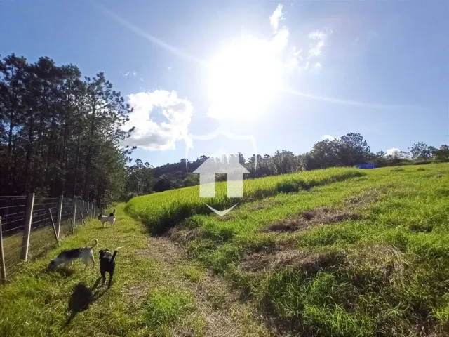 Área rural com 3 dormitórios, foto 4