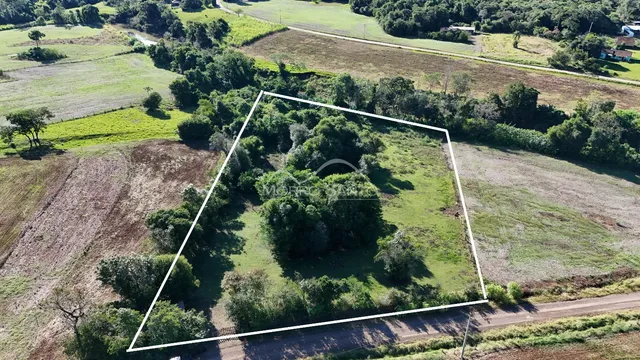 Vista aérea de um terreno com vegetação e campos.