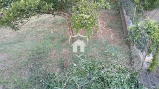 Casa com 3 dormitórios, foto 4