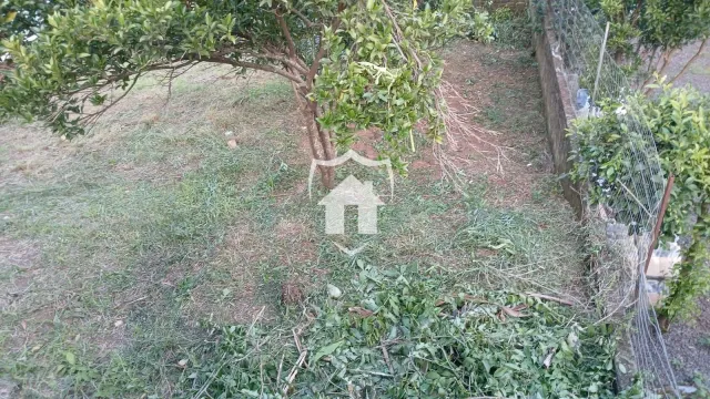 Casa com 3 dormitórios, foto 4