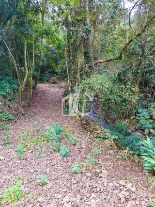 Área rural, foto 12
