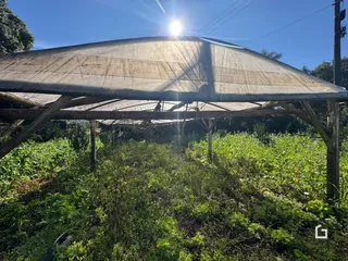 Área rural com 4 dormitórios, foto 12