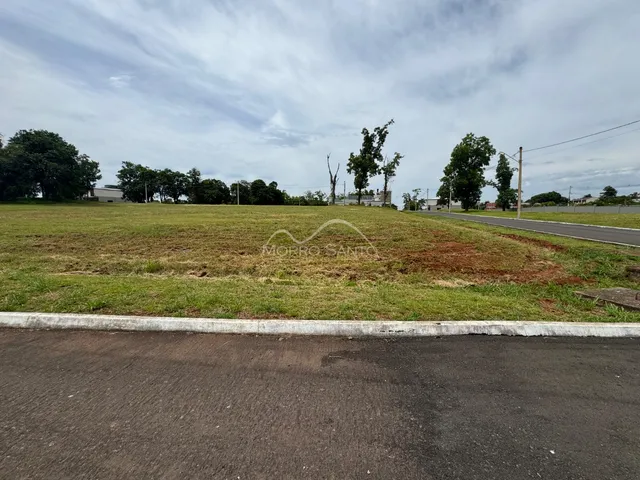 Terreno, foto 2