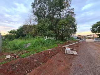 Vista da área externa com vegetação e solo irregular.