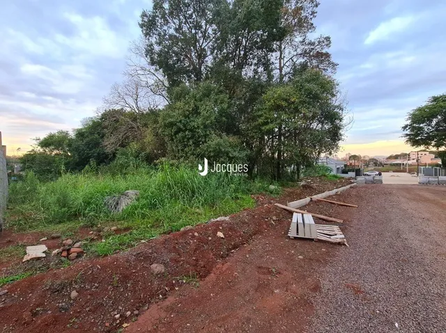 Vista da área externa com vegetação e solo irregular.