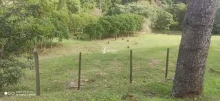Área rural com 4 dormitórios, foto 7