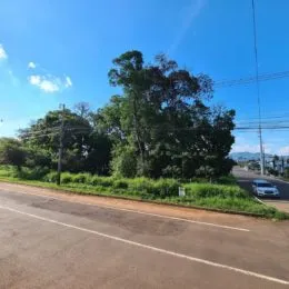 Vista externa de uma rua com vegetação em Lajeado.