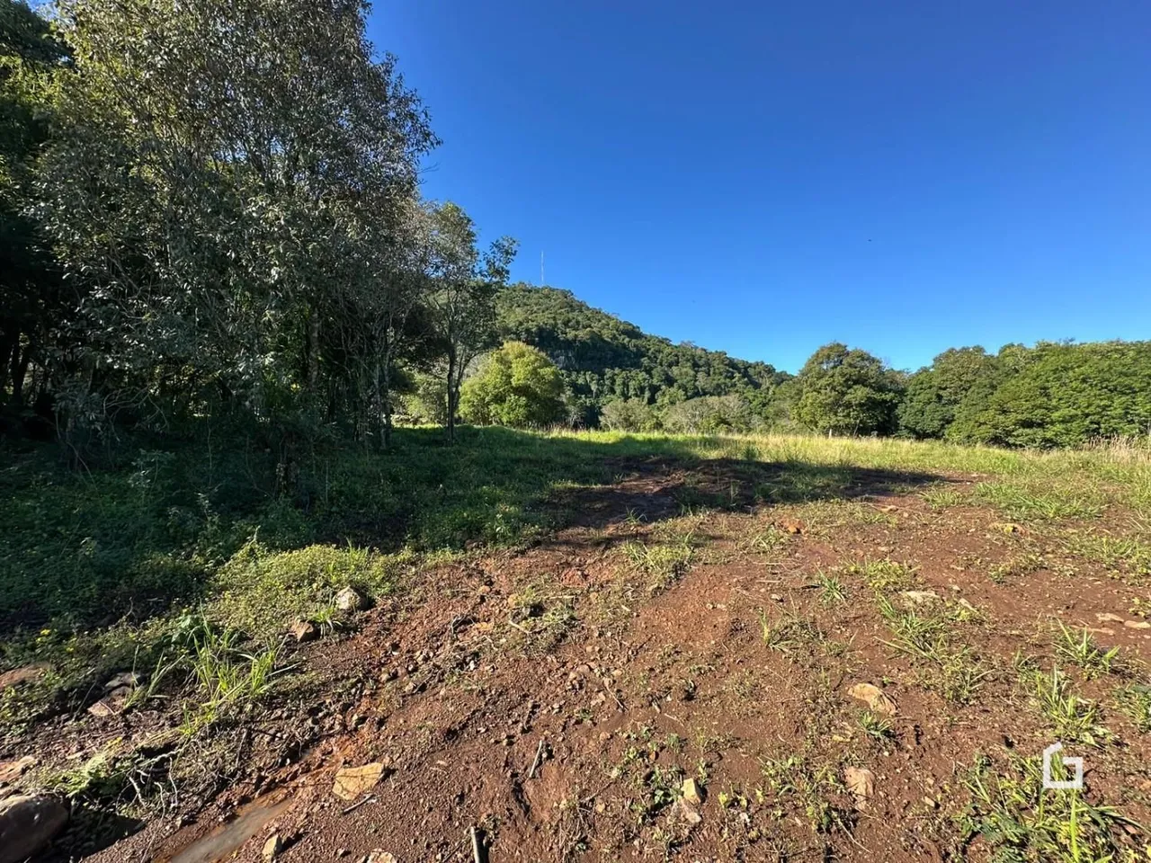 Paisagem de campo com vegetação densa e colinas ao fundo.