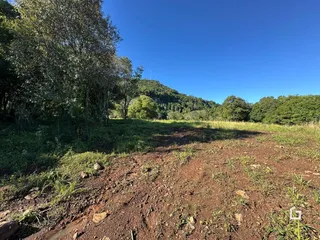 Paisagem de campo com vegetação densa e colinas ao fundo.