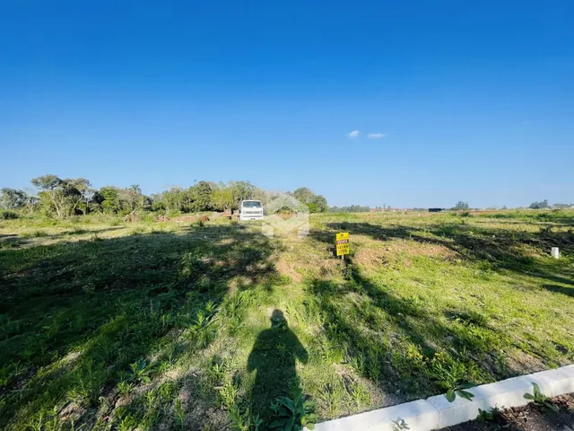 Vista de um campo gramado com vegetação no primeiro plano.