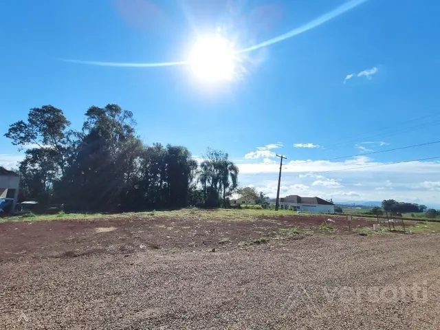 Terreno, foto 3