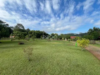 Vista externa de um grande gramado com árvores e céu azul.