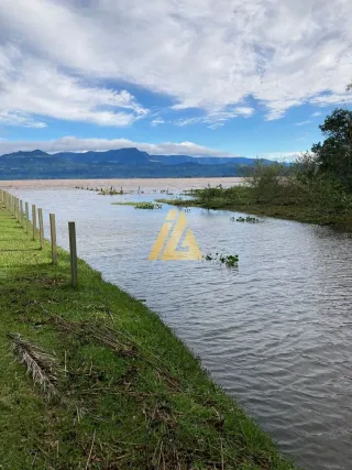 Terreno, foto 95