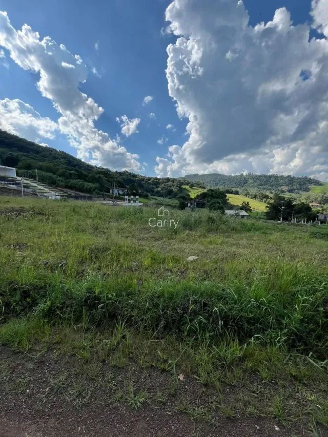 Terreno, foto 3