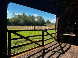 Área rural com 3 dormitórios, foto 11