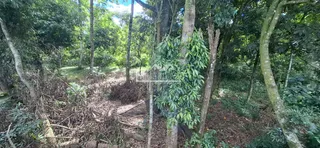 Área rural com 4 dormitórios, foto 8