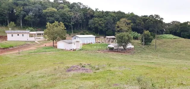 Área rural