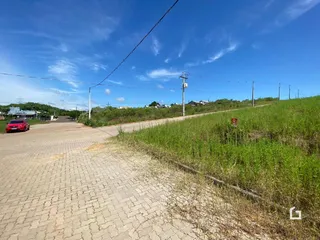 Vista da rua e vegetação ao lado de uma estrada em Lajeado, Brasil.