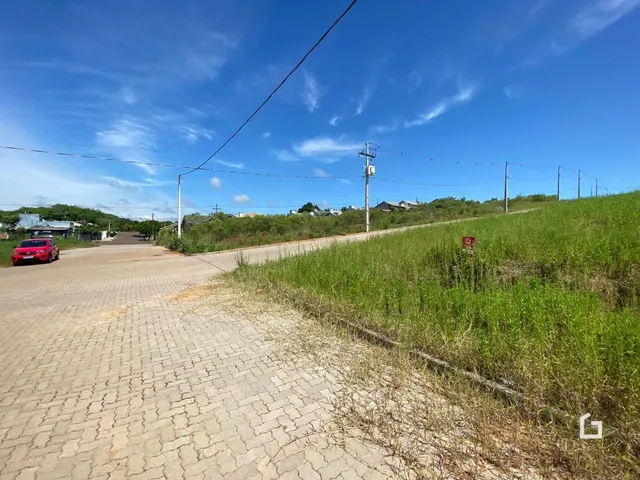 Vista da rua e vegetação ao lado de uma estrada em Lajeado, Brasil.
