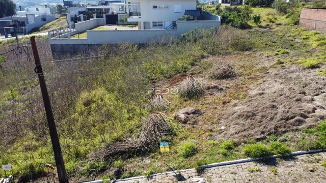 Vista externa de uma propriedade com vegetação densa e cerca no fundo.