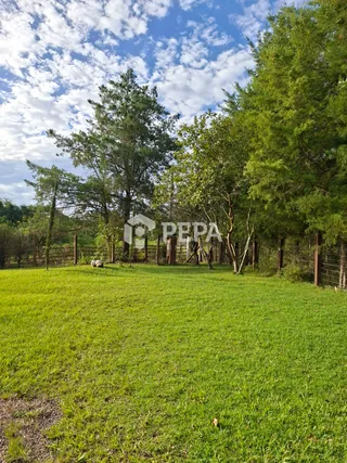 Área rural com 2 dormitórios, foto 21